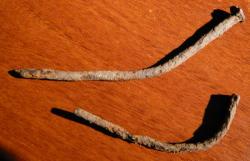 post-4575-0-15159800-1302624547_thumb.jp