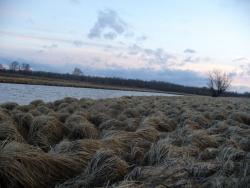 post-4806-0-61585500-1303735788_thumb.jp