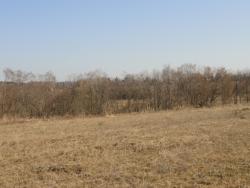 post-4923-0-19082800-1303587133_thumb.jp