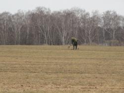 post-4923-0-29903500-1303148596_thumb.jp