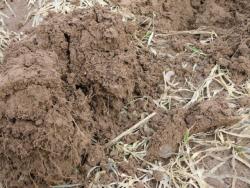 post-4923-0-40993300-1303148651_thumb.jp