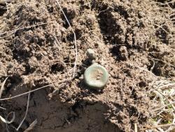 post-4923-0-83534500-1303587308_thumb.jp