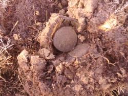 post-4989-0-07913000-1302364241_thumb.jp