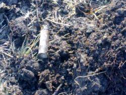 post-4989-0-16587600-1302280604_thumb.jp