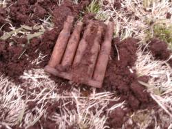 post-4989-0-28597400-1303578175_thumb.jp