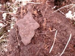 post-4989-0-51749500-1303578031_thumb.jp