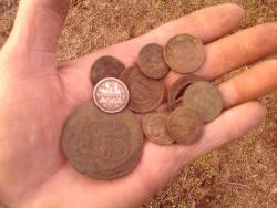 post-4989-0-66052300-1303578538_thumb.jp