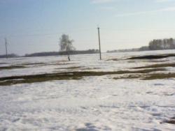 post-4989-0-73819000-1302280442_thumb.jp