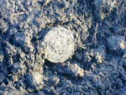 post-4989-0-89504300-1302280695_thumb.jp