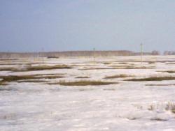 post-4989-0-90407300-1302280481_thumb.jp