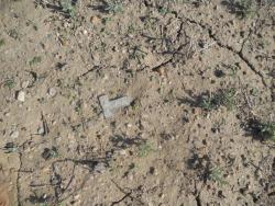 post-5061-0-50798800-1303722003_thumb.jp