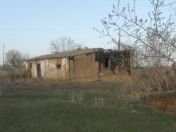 post-5061-0-91855400-1303723094_thumb.jp