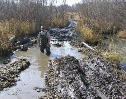 post-5279-0-16476900-1302625252_thumb.jp