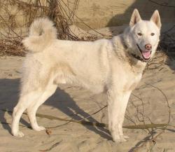 post-5279-0-69700000-1303311659_thumb.jp