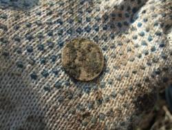 post-5785-0-77886600-1304187430_thumb.jp