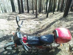 post-6034-0-70017300-1302437242_thumb.jp