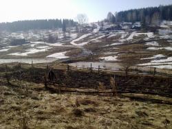 post-6086-0-41916000-1303260823_thumb.jp