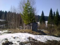 post-6086-0-67535100-1303260868_thumb.jp