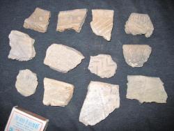 post-6245-0-54038900-1301764712_thumb.jp