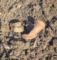 post-6368-0-00515100-1303153948_thumb.jp