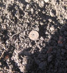 post-6368-0-06292400-1303153704_thumb.jp