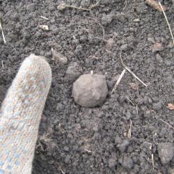 post-6368-0-06705600-1303153310_thumb.jp