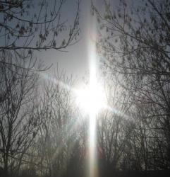 post-6368-0-16322500-1303152656_thumb.jp