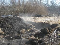 post-6368-0-77911200-1302681188_thumb.jp