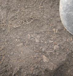 post-6368-0-88738000-1303153504_thumb.jp