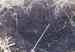 post-10090-0-15770700-1333879254_thumb.j