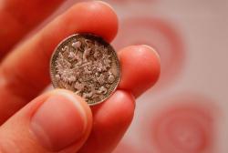 post-10416-0-72451100-1333287699_thumb.j