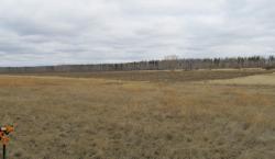 post-10470-0-00197800-1333977787_thumb.j