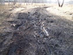 post-1724-0-45149100-1333978331_thumb.jp