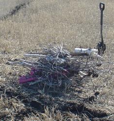 post-1887-0-68192800-1334159866_thumb.jp