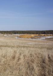 post-1996-0-37587100-1333370238_thumb.jp