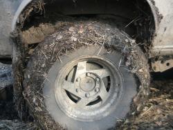 post-2349-0-24624400-1334329596_thumb.jp