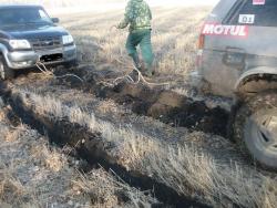 post-2349-0-50890700-1334329506_thumb.jp