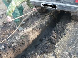 post-2349-0-95837100-1334329598_thumb.jp