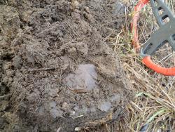 post-2838-0-50679800-1335338928_thumb.jp