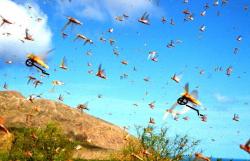 post-2863-0-02672700-1334156700_thumb.jp