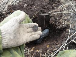 post-2898-0-65833200-1335701487_thumb.jp