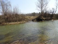 post-2898-0-73149400-1335624455_thumb.jp