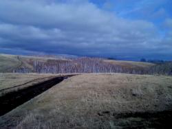 post-3699-0-32963400-1335241553_thumb.jp