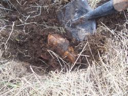 post-4269-0-13054400-1334595266_thumb.jp