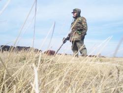 post-4269-0-19443300-1334482209_thumb.jp