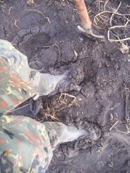 post-4269-0-24513000-1333540357_thumb.jp