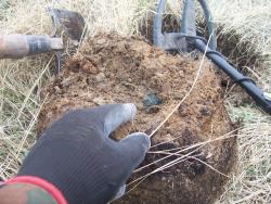 post-4269-0-24785500-1334595010_thumb.jp