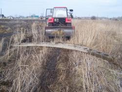 post-4269-0-24863900-1333714818_thumb.jp