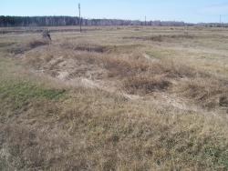 post-4269-0-32269300-1335193822_thumb.jp