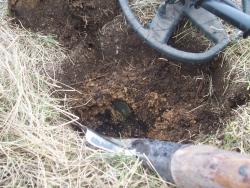 post-4269-0-34772100-1334595181_thumb.jp